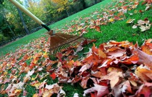 Fall Clean-Up - Perfect Touch Landscape