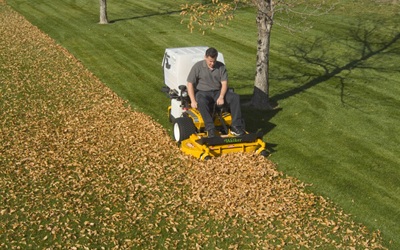 Why You Need Leaf Removal
