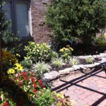 Springfield , MO Landscape for David Wells Undercover Rogersville,MO Springfield , MO Landscape for David Wells Undercover Rogersville,MO