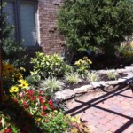 Springfield , MO Landscape for David Wells Undercover Rogersville,MO Springfield , MO Landscape for David Wells Undercover Rogersville,MO